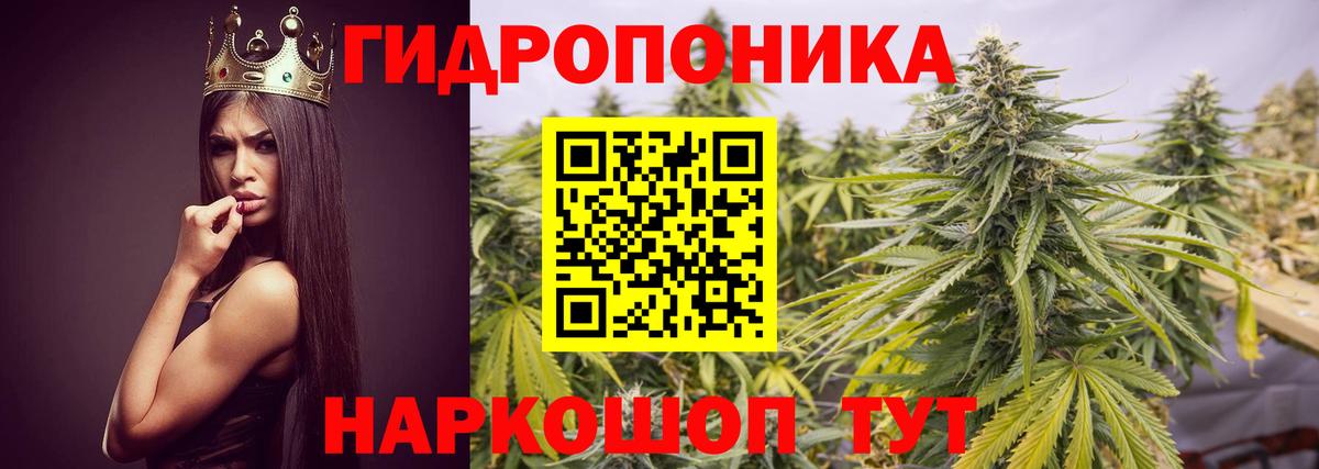 Конопля планчик  Шишки марихуана VHQ  Вход с VPN  Аксай  Шишки марихуана конопля 