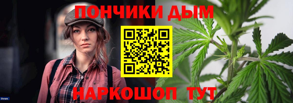 Шишки марихуана гибрид Аксай